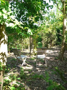 Garten2